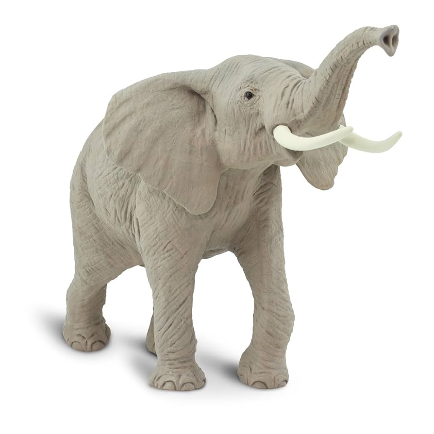 Elephantさま専用 61eWR+GZpjL._UF894,1000_QL80_.jpg